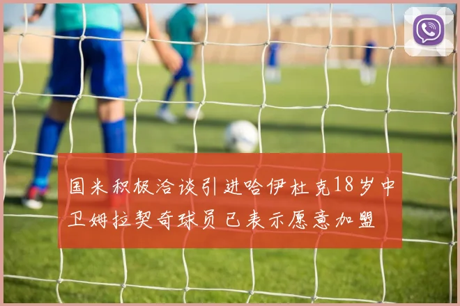 国米积极洽谈引进哈伊杜克18岁中卫姆拉契奇球员已表示愿意加盟
