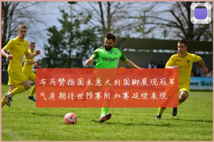 布冯赞扬国米意大利国脚展现冠军气质期待世预赛附加赛延续表现