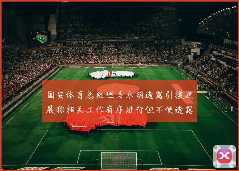 国安体育总经理马永明透露引援进展称相关工作有序进行但不便透露名字